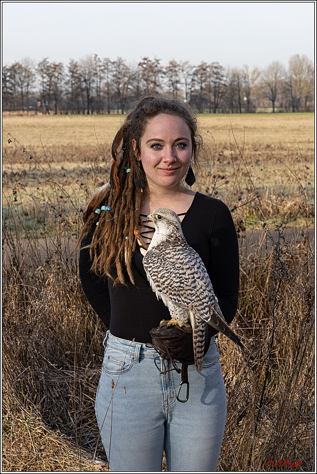 Cheyenne-Halbblut Hunting Wolf in der Falknerei Pierre Schmidt; Gymnich, 09.02.2023